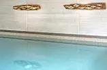 Vida Pool